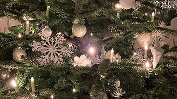 KOLLER's Christmas| 7 nights